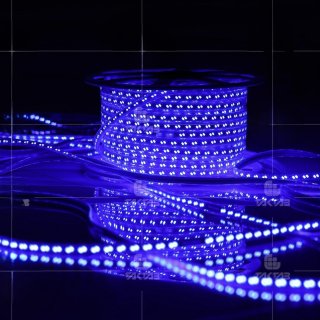 ریسه LED آبی